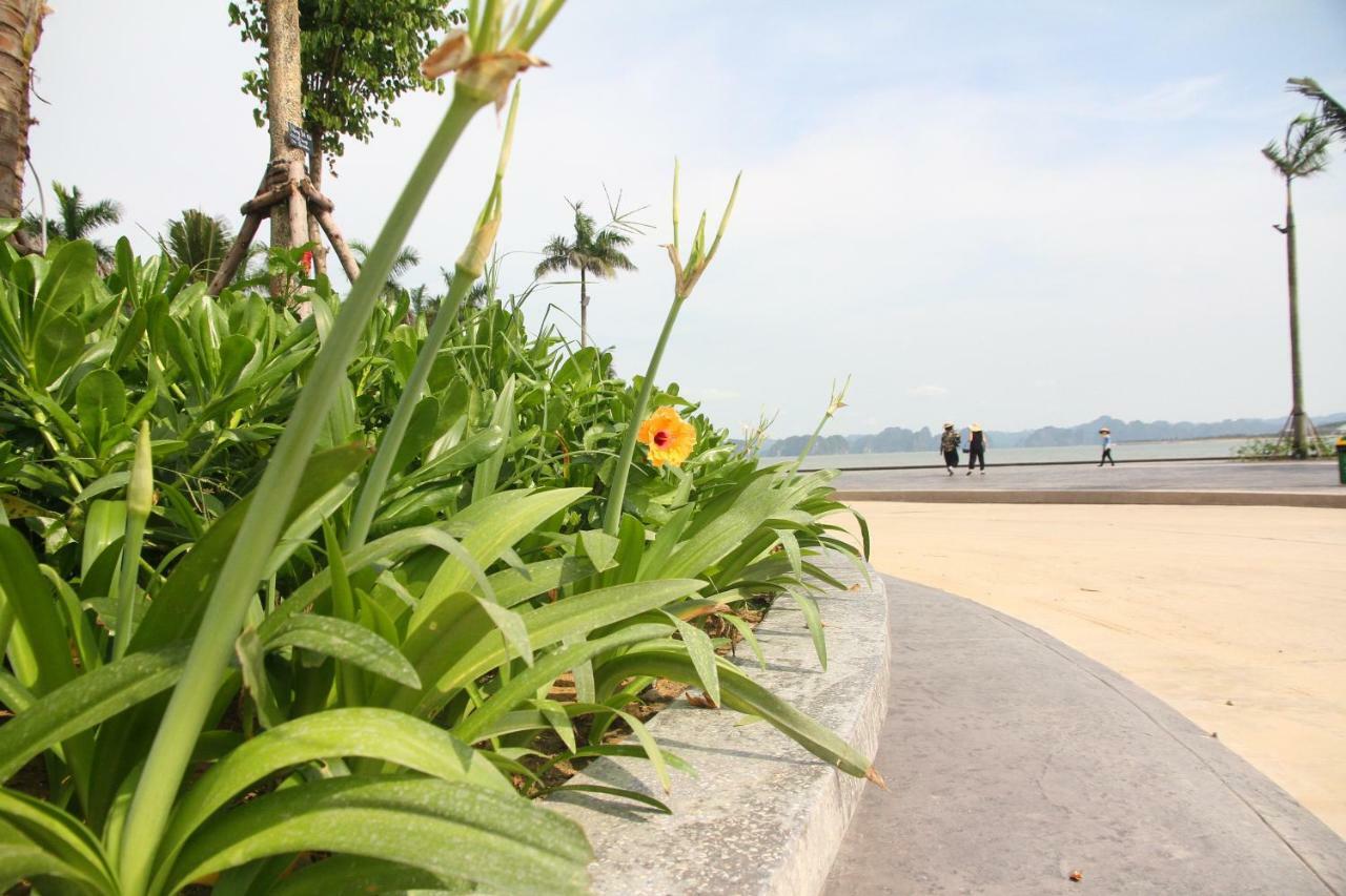Kp Relax Halong Homestay Nan Giang Buitenkant foto